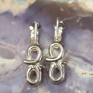 Elegant Silver Lever back Earrings.